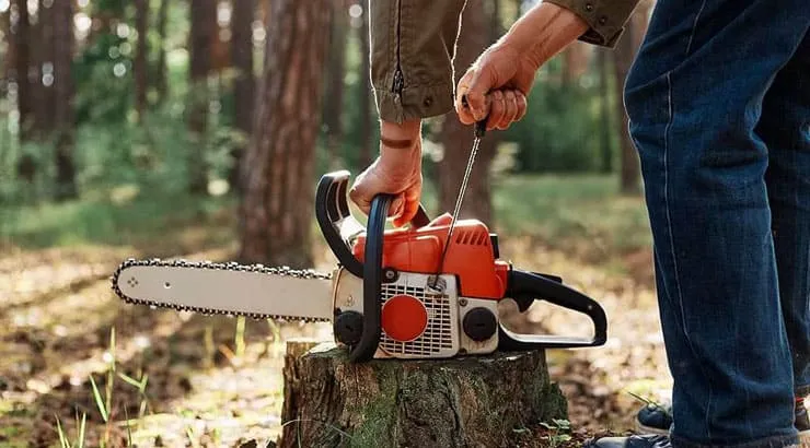 Sales with best collection